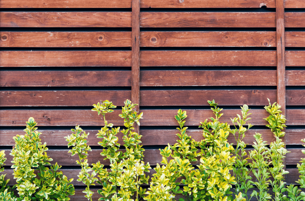 Safeguarding Your Garden from Pests: The Power of Fencing