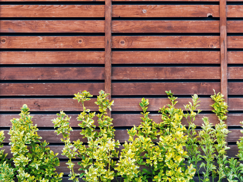 Safeguarding Your Garden from Pests: The Power of Fencing