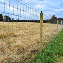 Roll of 2.0mm galvanized steel field fencing with 100 x 100mm square mesh, 1200mm in height.